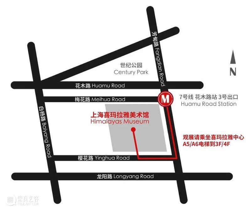 开幕回顾 | 新羽计划首展《山海没有异兽》的奇妙幻境 崇真艺客