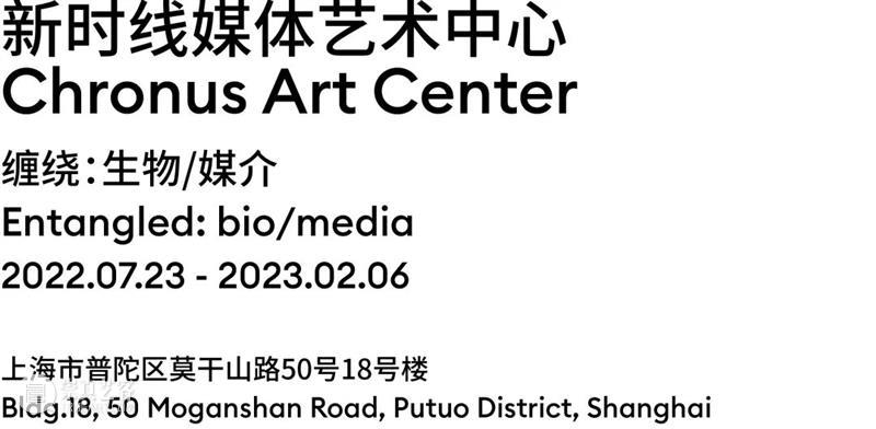 全球艺术展览资讯 | 上海 崇真艺客