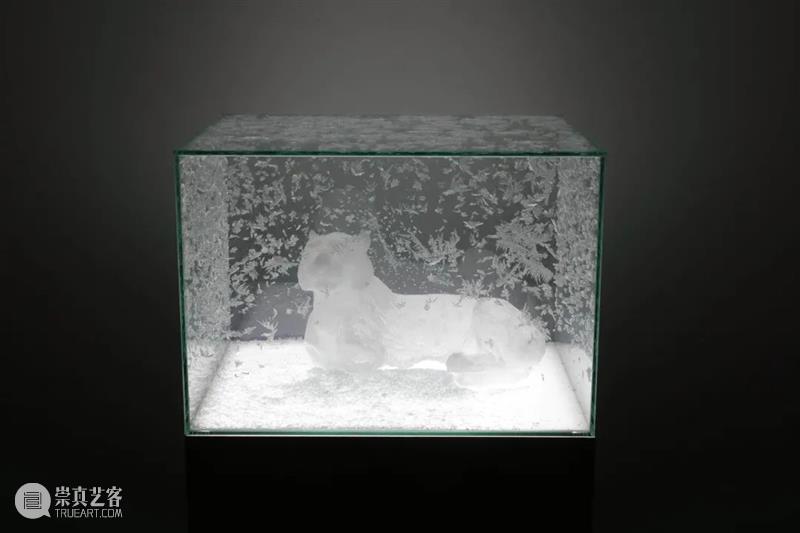 日本爱知三年展前夕,东京艺廊将国际与区内的声音推向舞台 崇真艺客