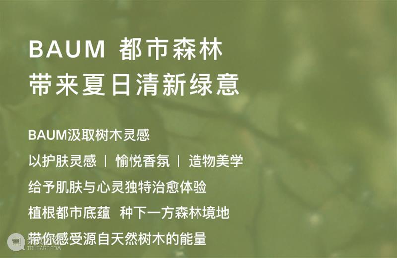 森林·在茑屋书店|于魔都中,感知盛夏森林呼吸 崇真艺客