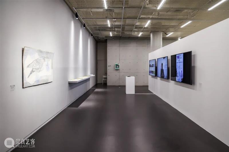 PAM回顾｜“新生与共振”坪山美术馆三周年特展开幕掠影！ 崇真艺客