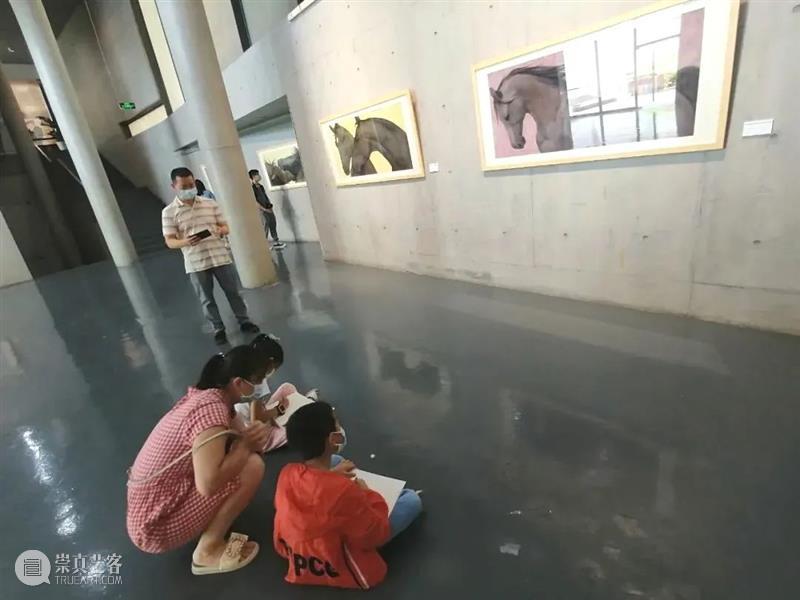 “共绘彩韵·生长于斯——中国水彩名家系列邀请展”在罗湖美术馆展出 崇真艺客