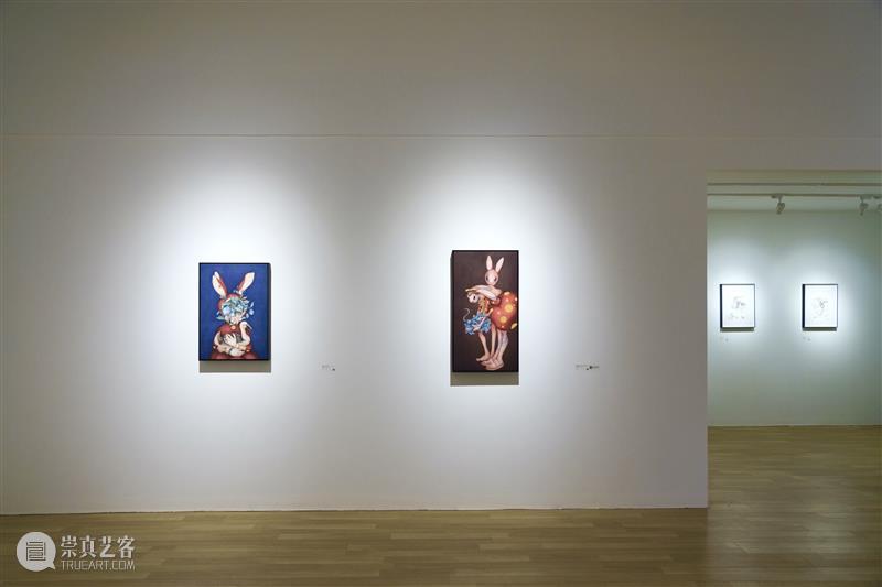 现场 | 徐琳琳个展：兔子洞 崇真艺客