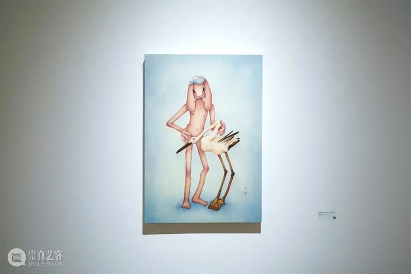 现场 | 徐琳琳个展：兔子洞 崇真艺客