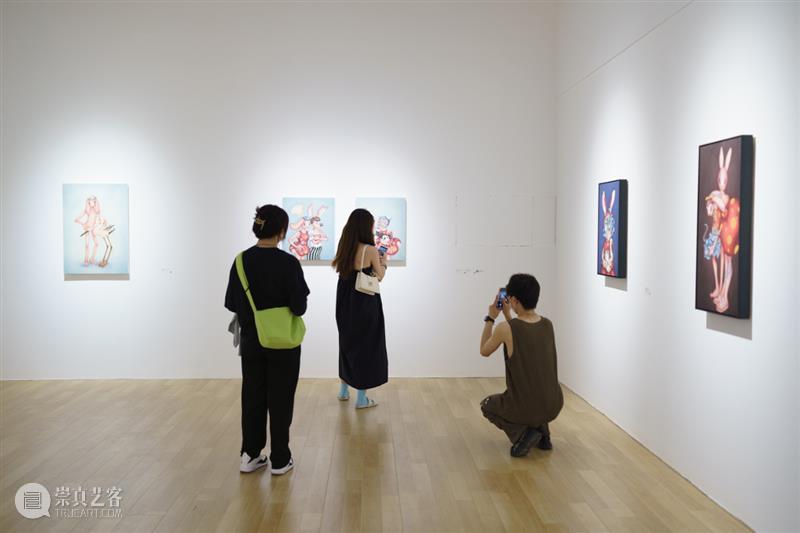 现场 | 徐琳琳个展：兔子洞 崇真艺客