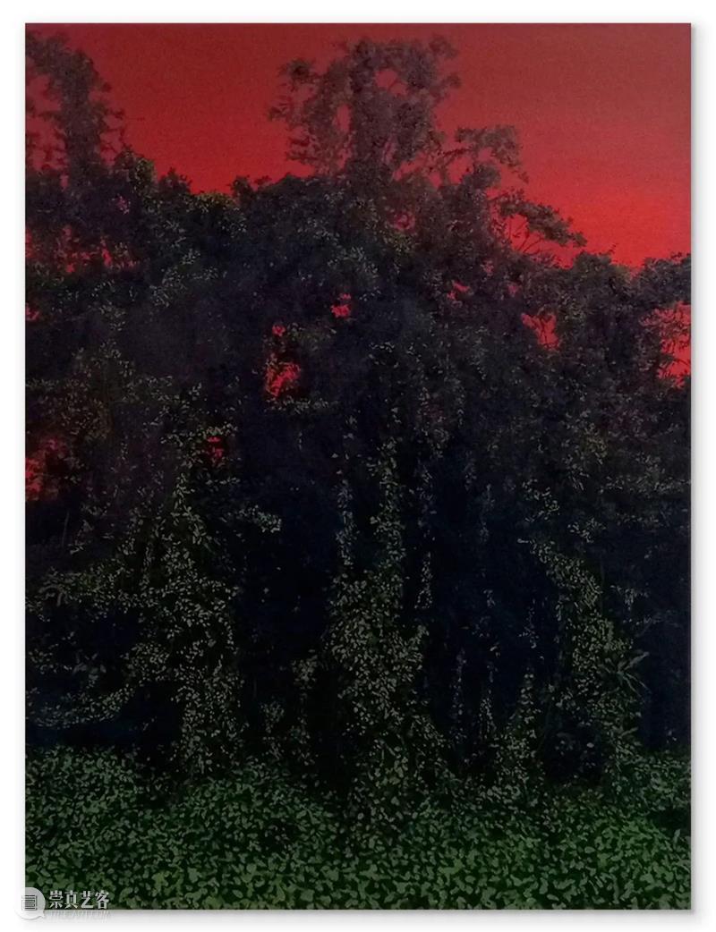 展览 EXHIBITION | 布鲁诺·加丹纳 Bruno GADENNE  「热带不眠夜」| 杜梦堂 上海 崇真艺客