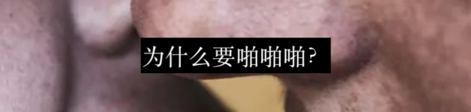 恐龙是如何做爱的？ 崇真艺客