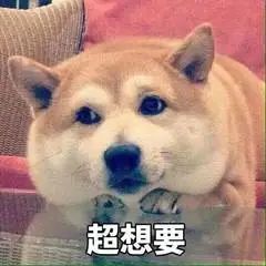 剧版《国家宝藏》先导预告；艾梅伯正式提起上诉 崇真艺客
