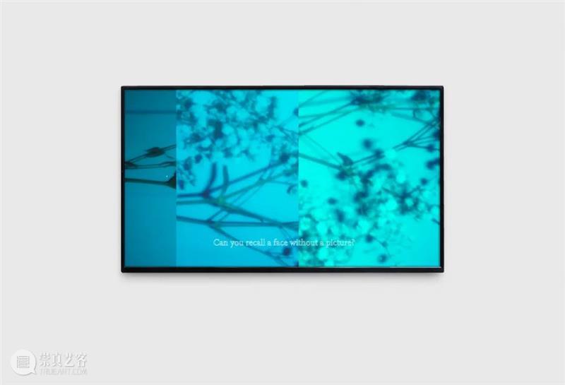 “贮藏（2022）”展览项目系列推送「艺术家」之（十三）忻慧妍 崇真艺客