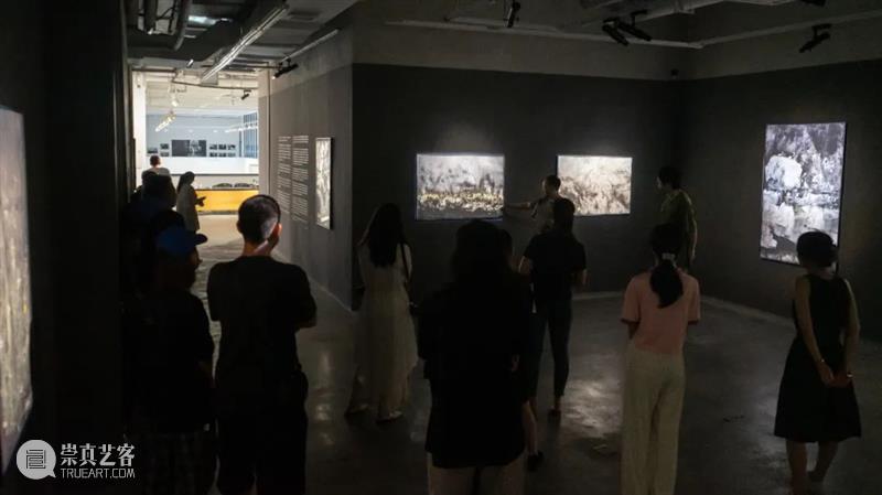 【专访】张树光个展——显像的绽出|厦门 崇真艺客