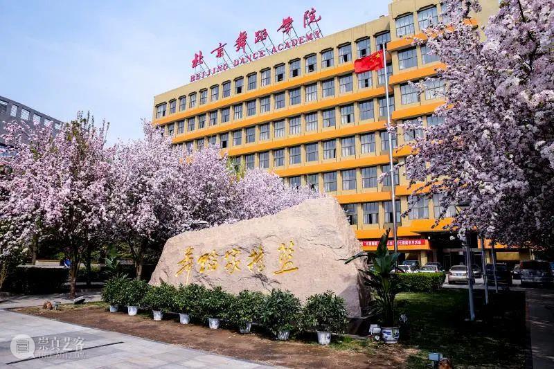 原来她们都是来自这所“舞蹈家的摇篮”！ 崇真艺客