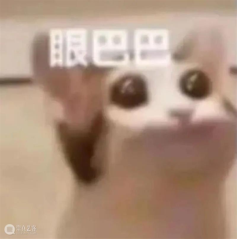 雷佳音张小斐合作新片《交换人生》；动画电影《匹诺曹》预告 崇真艺客