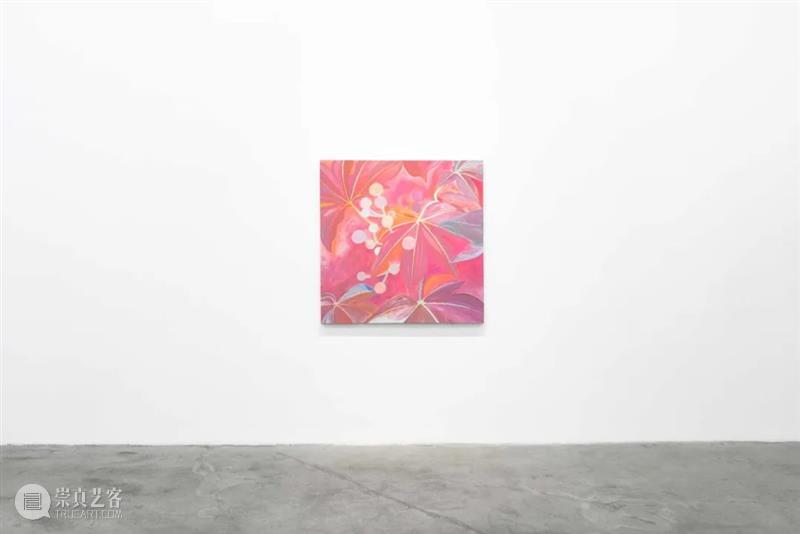 M50展览 | 「无名岛屿 Undefined Island」陈欣 | LIANG PROJECT 崇真艺客