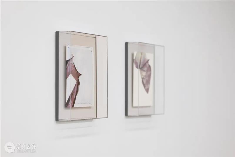 艺术家｜蒋鹏奕：细水涓密石 崇真艺客