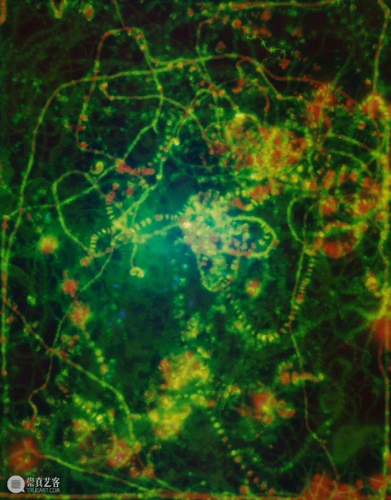 艺术家｜蒋鹏奕：细水涓密石 崇真艺客
