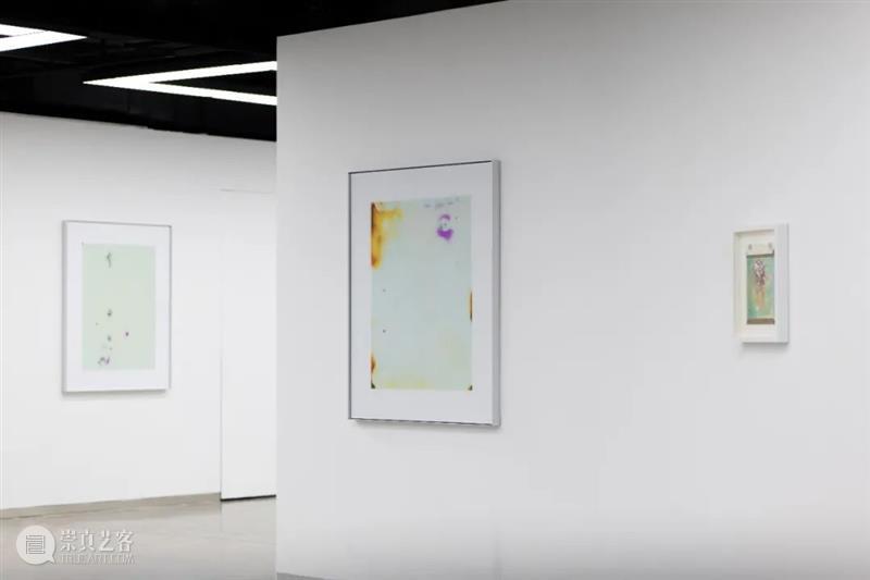 艺术家｜蒋鹏奕：细水涓密石 崇真艺客