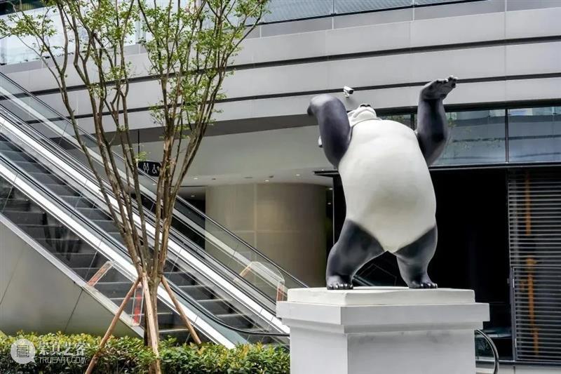 公共艺术｜七月快讯 崇真艺客