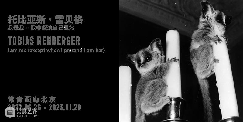 正在展出 | ​托⽐亚斯·雷⻉格正在德国斯图加特艺术博物馆呈现大型个展“I do if I don’t” 视频资讯 北京 崇真艺客