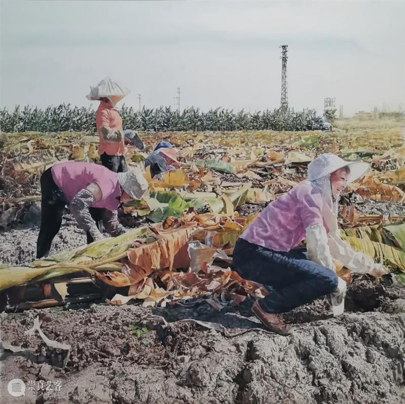 罗湖美术馆展讯 | 青绿梧桐2022广东省水彩画展 崇真艺客