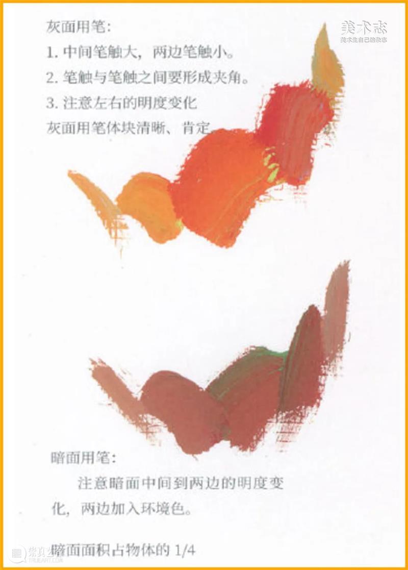 色彩静物中的【西红柿】非常有特点,这些知识点请牢记哦 ~ 崇真艺客