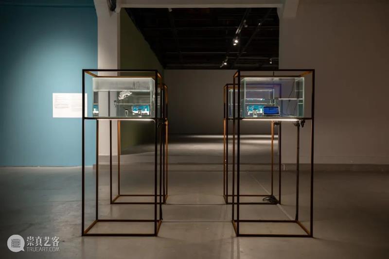 CAC · Opening Recap | Entangled: bio/media 崇真艺客