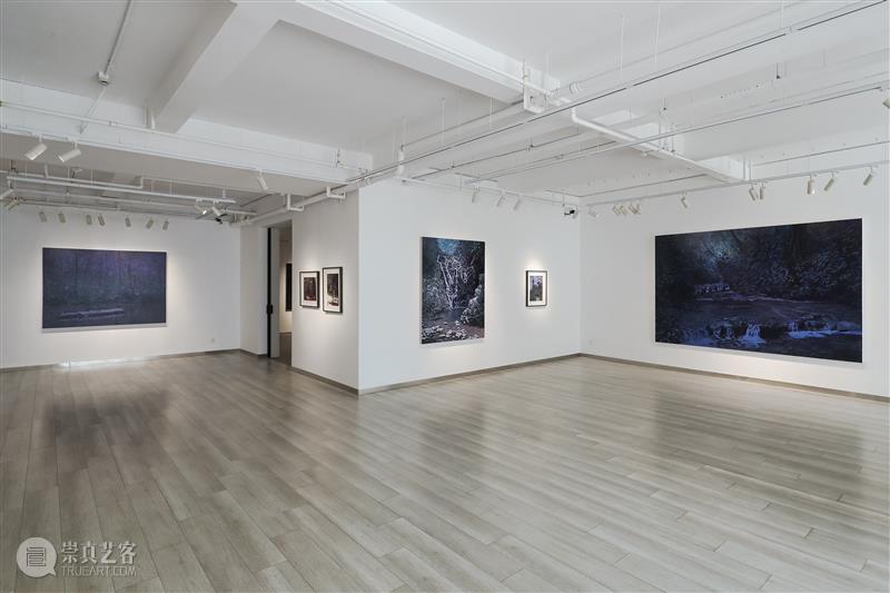 杜梦堂(上海)新展 | “热带不眠夜”里的奇特氛围 热点聚焦  杜梦堂(上海) 布鲁诺·加丹纳 崇真艺客