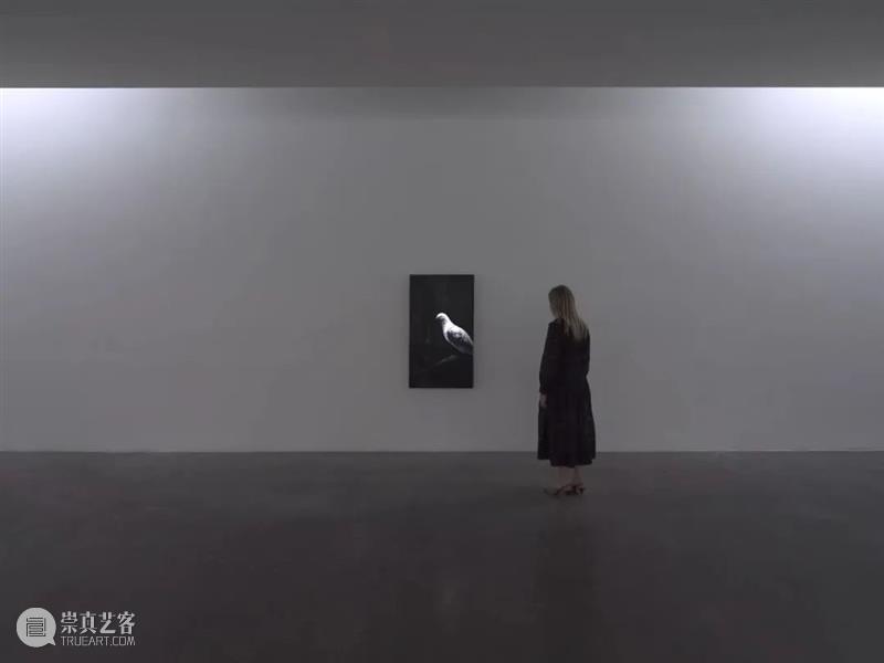 佩斯全球展讯｜摄影大师欧文·佩恩最新个展在洛杉矶开幕  纽约空间迎来卢卡斯·萨马拉斯大型影像展 崇真艺客