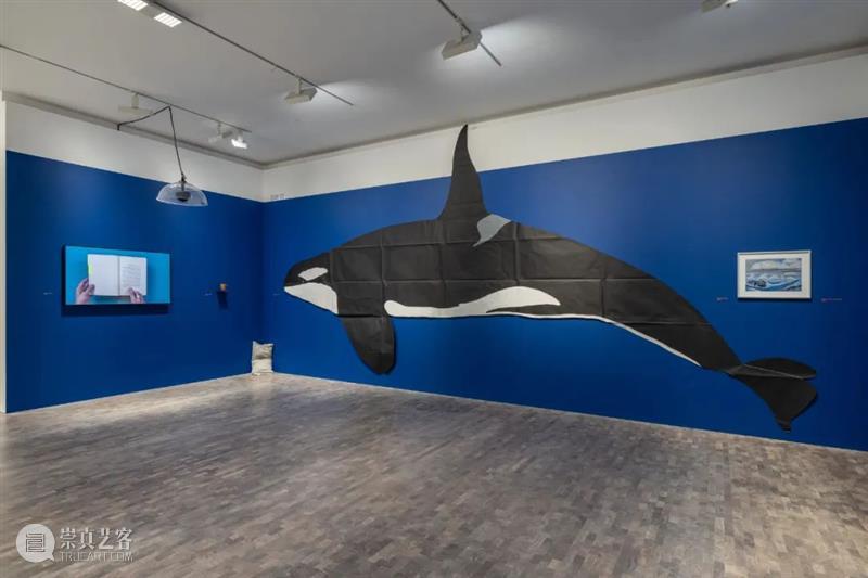 佩斯全球展讯|摄影大师欧文·佩恩最新个展在洛杉矶开幕 纽约空间迎来卢卡斯·萨马拉斯大型影像展 崇真艺客