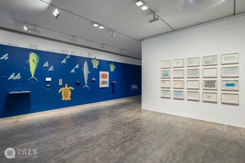 佩斯全球展讯|摄影大师欧文·佩恩最新个展在洛杉矶开幕 纽约空间迎来卢卡斯·萨马拉斯大型影像展 崇真艺客