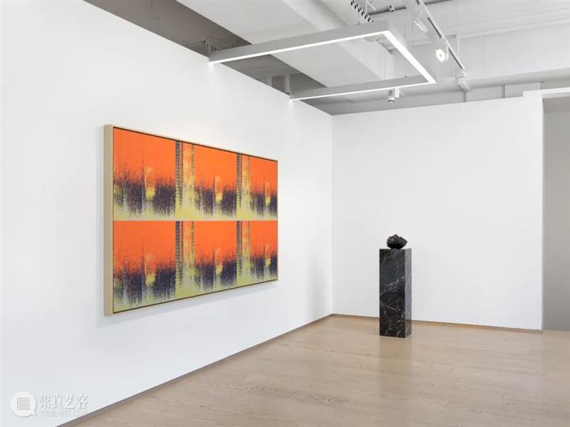 佩斯全球展讯｜摄影大师欧文·佩恩最新个展在洛杉矶开幕  纽约空间迎来卢卡斯·萨马拉斯大型影像展 崇真艺客