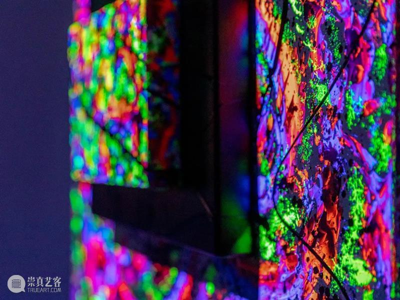 木兰:宇宙魔方——新媒体艺术展 参展艺术家 崇真艺客