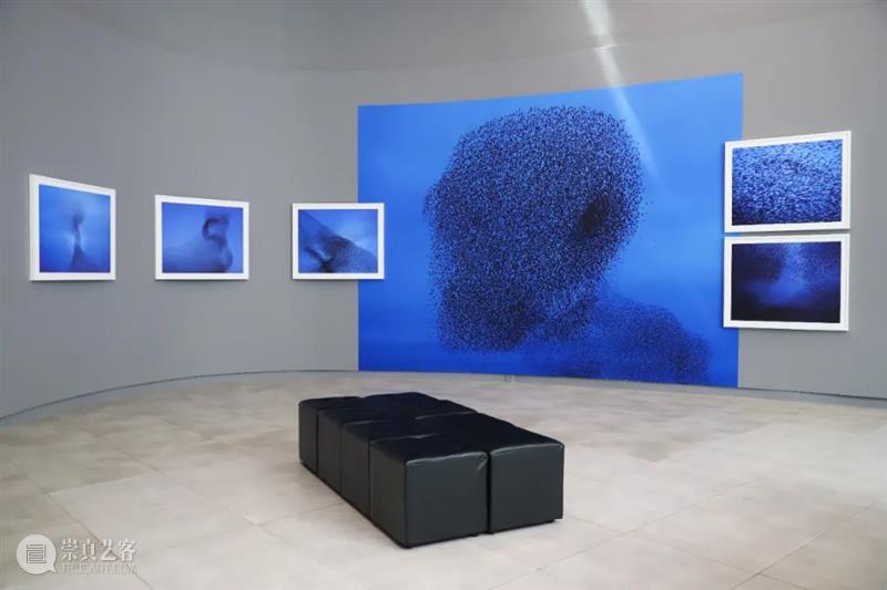 SCôP Exhibition | 《想像荷兰》明日正式开展 崇真艺客