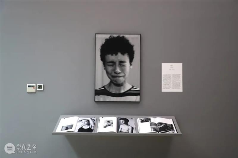 SCôP Exhibition | 《想像荷兰》明日正式开展 崇真艺客