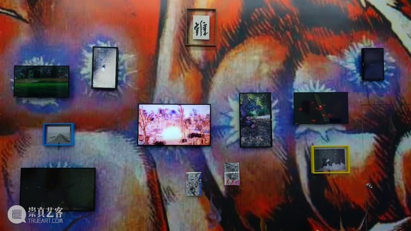 上海要空间四人展开打了 丨 北斗百裂拳 崇真艺客