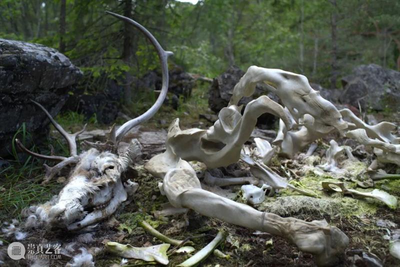 皮埃尔·于热（Pierre Huyghe）永久性装置作品坐落于挪威Kistefos美术馆 崇真艺客