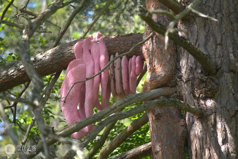 皮埃尔·于热（Pierre Huyghe）永久性装置作品坐落于挪威Kistefos美术馆 崇真艺客