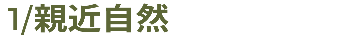 山池咖啡新店进驻|隔山望海,瞬间有感 崇真艺客