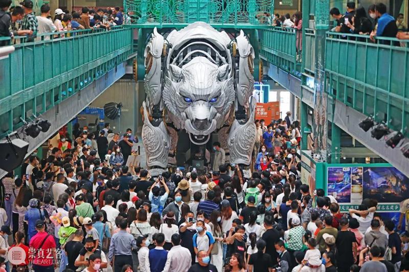 曝光量2亿!大连最火爆城市级IP“巨熊北北”如何打造? 崇真艺客