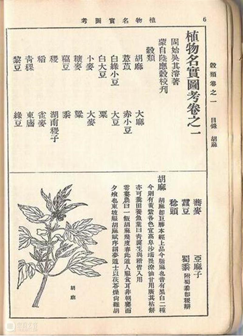 【学术讲座】第157期 | 杨佳玲《自然即人文：晚清西风思潮下的视觉转译》 崇真艺客
