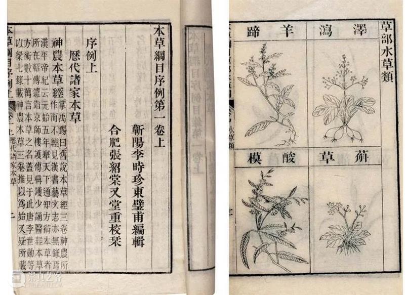 【学术讲座】第157期 | 杨佳玲《自然即人文：晚清西风思潮下的视觉转译》 崇真艺客