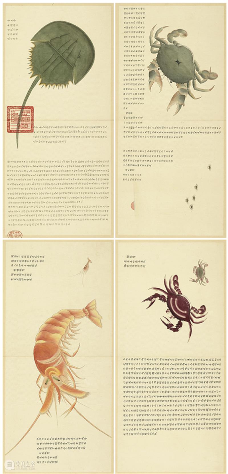 【学术讲座】第157期 | 杨佳玲《自然即人文：晚清西风思潮下的视觉转译》 崇真艺客