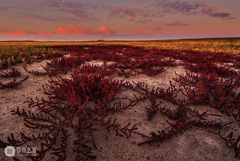 齐美尔丨风景的哲学 崇真艺客
