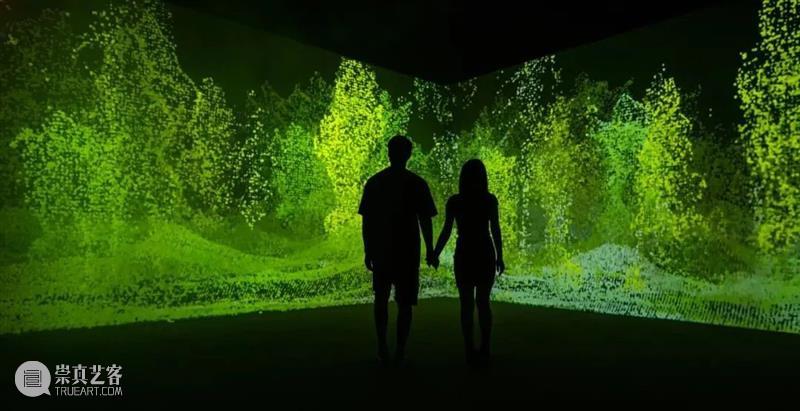8月广州深圳 | 5个不可错过的新媒体艺术展 崇真艺客