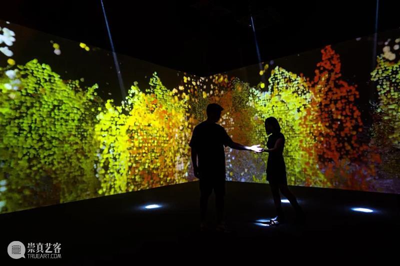 8月广州深圳 | 5个不可错过的新媒体艺术展 崇真艺客
