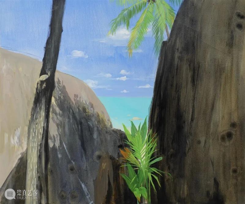 M50展览 | 「天堂岛」王瑾 | 艺博画廊 崇真艺客