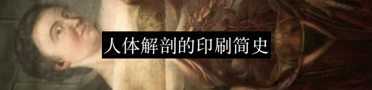 空姐迷你裙盛衰简史 崇真艺客