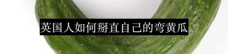 空姐迷你裙盛衰简史 崇真艺客