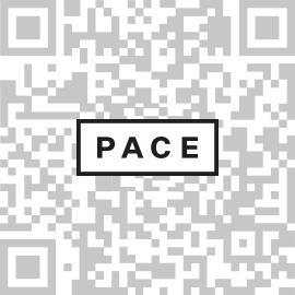 佩斯画廊宣布代理弗吉尼亚·贾拉米洛、马修·戴·杰克逊 崇真艺客