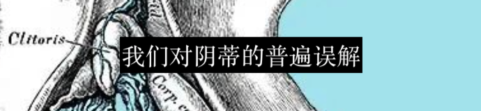 隆胸的反噬 崇真艺客