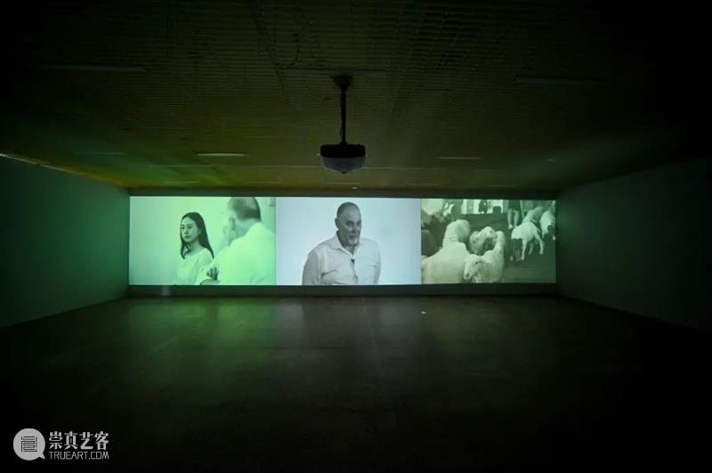 PAM回顾｜“沈少民的科学简史”开幕活动实录 崇真艺客